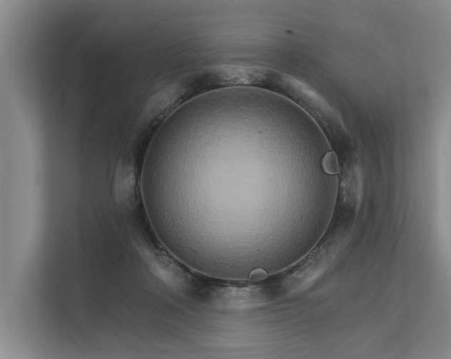 X0000111510314200907211209