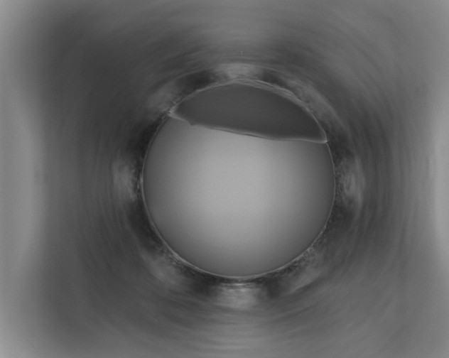 X0000111510316200907211209