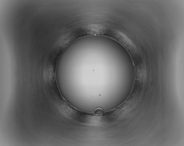 X0000111510318200907211209
