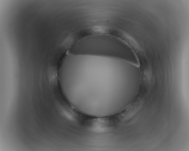 X0000111510320200907211209