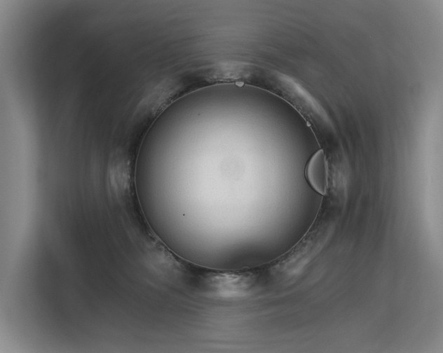 X0000111510326200907211209