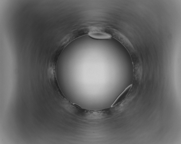 X0000111510329200907211209