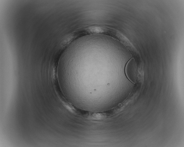 X0000111510330200907211209