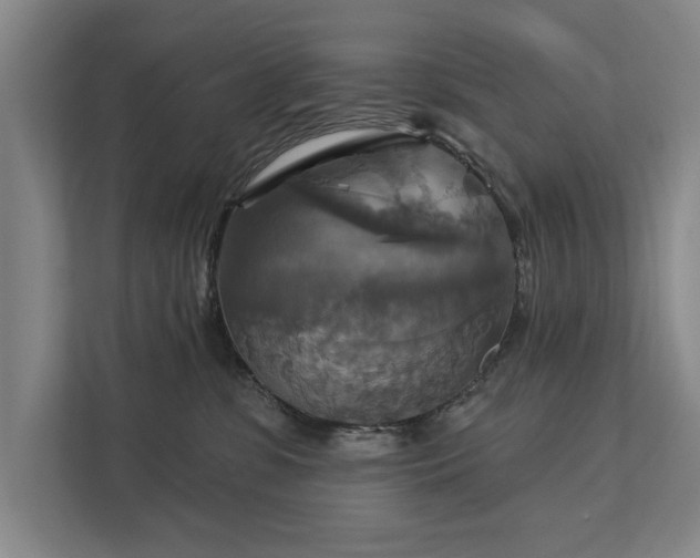 X0000111510331200907211209