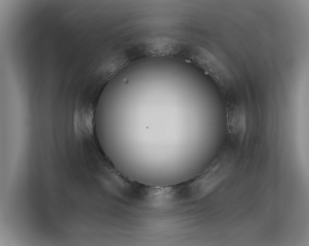 X0000111510334200907211209