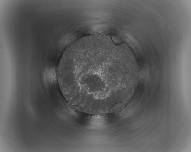 X0000111510335200907211209