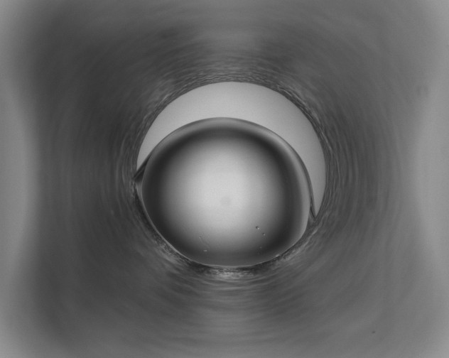 X0000111510336200907211208