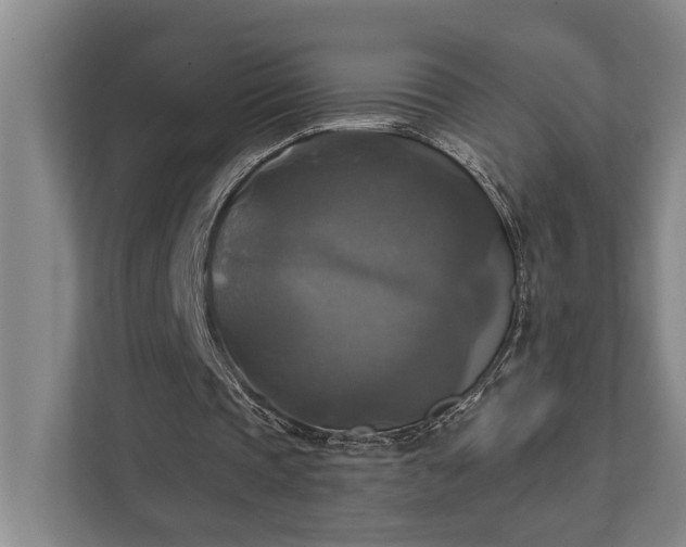 X0000111510337200907211208