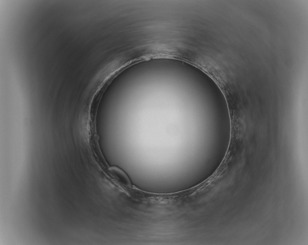 X0000111510338200907211208