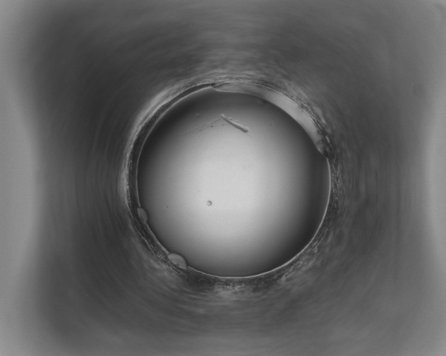 X0000111510340200907211208