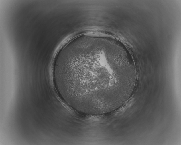 X0000111510341200907211208