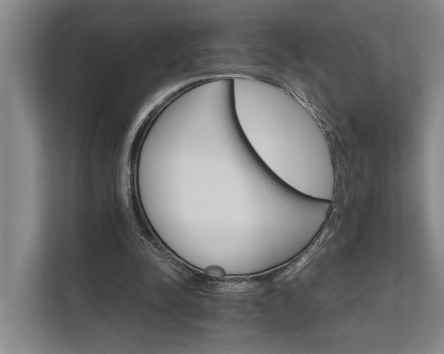X0000111510342200907211208