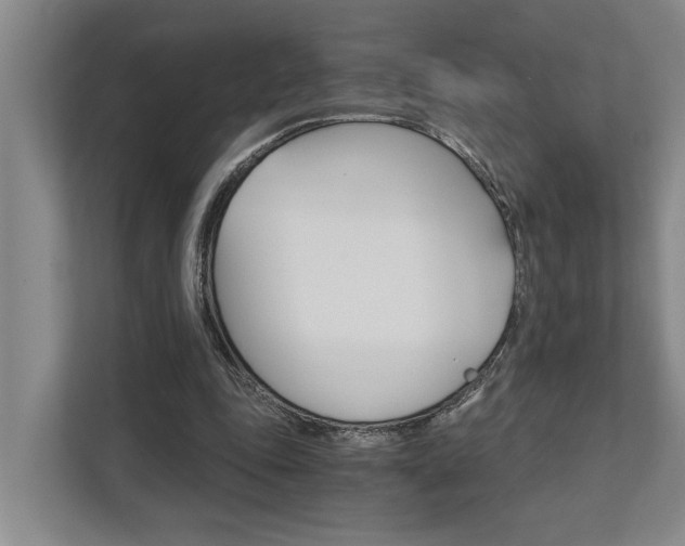 X0000111510343200907211208