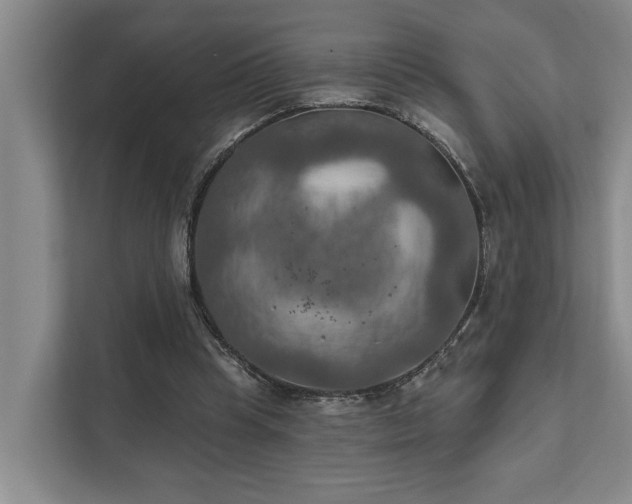 X0000111510345200907211208