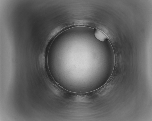 X0000111510346200907211208