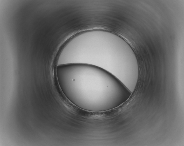 X0000111510350200907211208