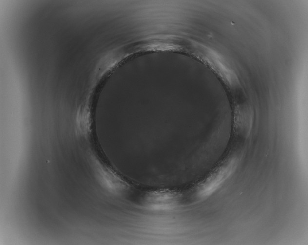 X0000111510351200907211208