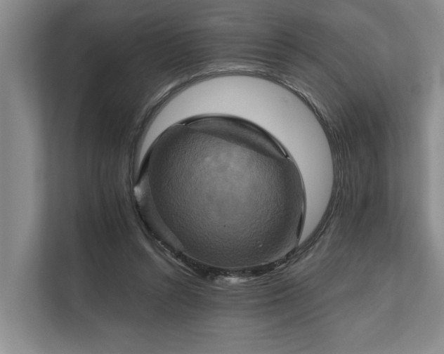 X0000111510352200907211208