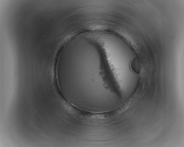 X0000111510353200907211208