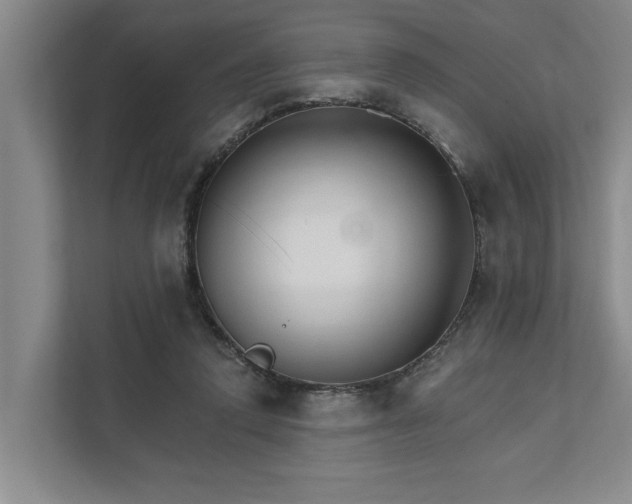 X0000111510354200907211208