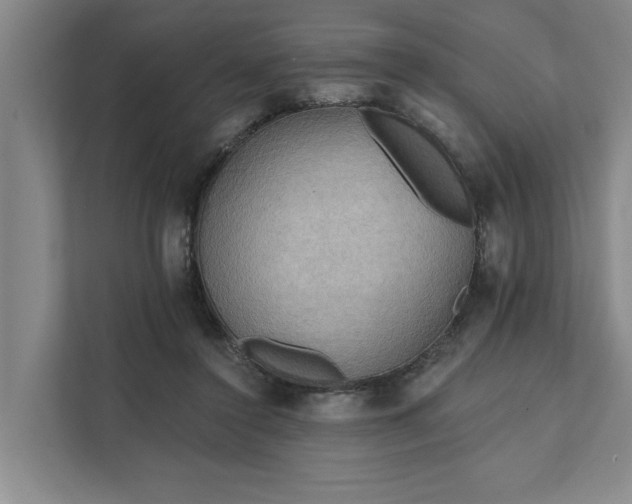 X0000111510356200907211208