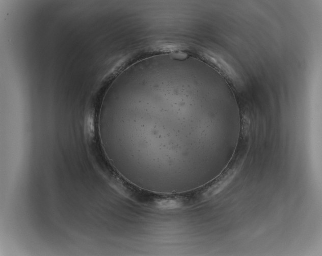 X0000111510358200907211208