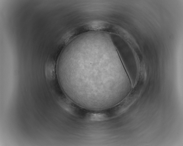 X0000111510360200907211208
