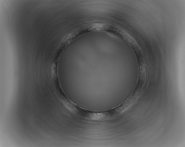 X0000111510361200907211208