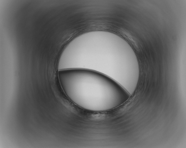 X0000111510362200907211208