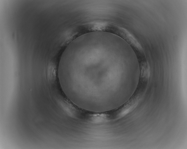 X0000111510363200907211208