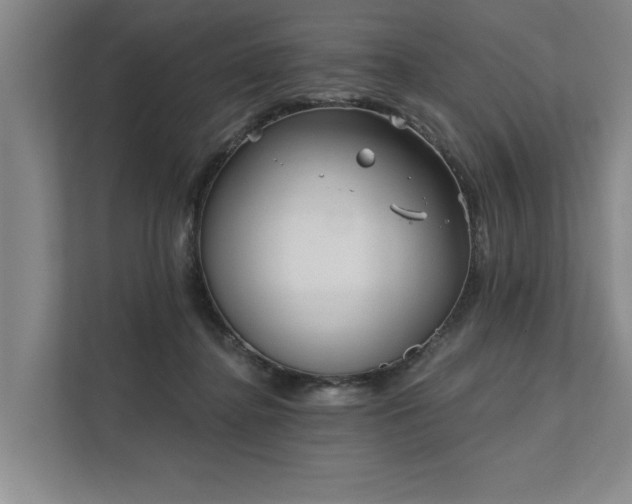 X0000111510364200907211208