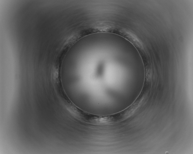 X0000111510365200907211208