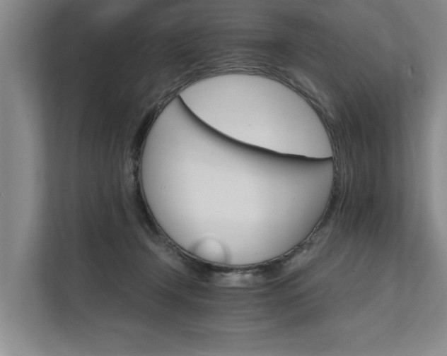 X0000111510366200907211208