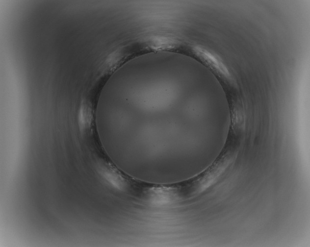 X0000111510367200907211208