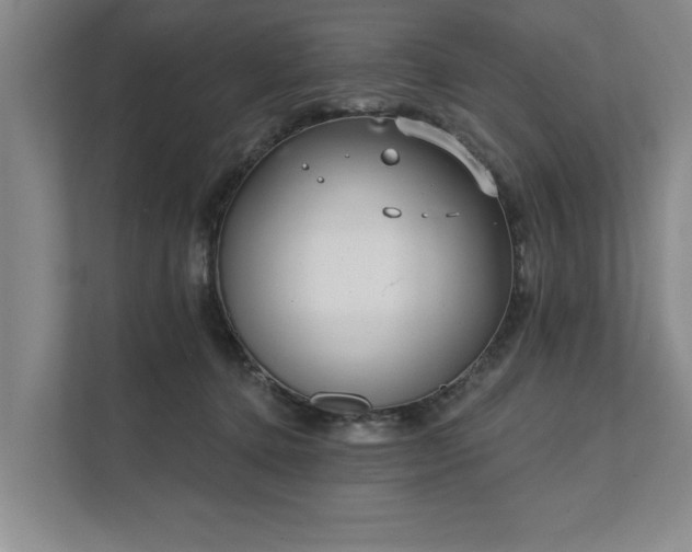 X0000111510368200907211208