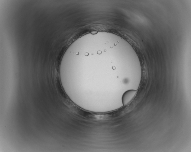 X0000111510371200907211208