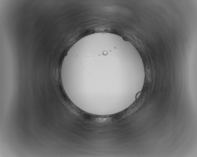 X0000111510375200907211208