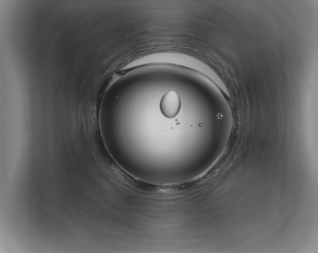 X0000111510376200907211208