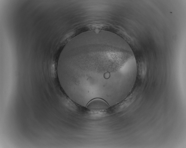 X0000111510378200907211208