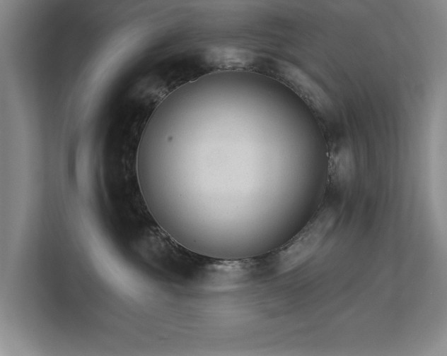X0000111510381200907211208