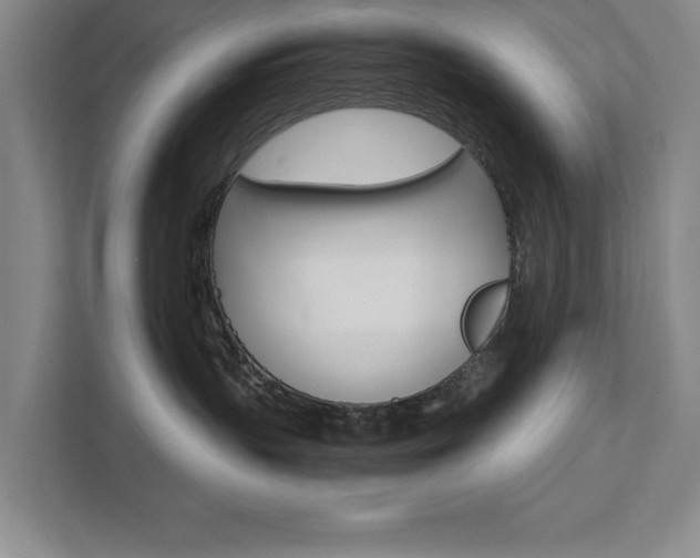 X0000111510383200907211208