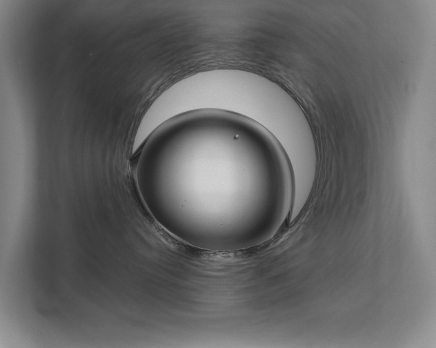X0000111510384200907211208