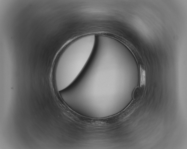 X0000111510387200907211208
