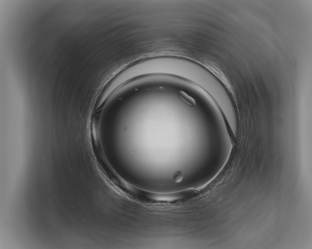 X0000111510389200907211208