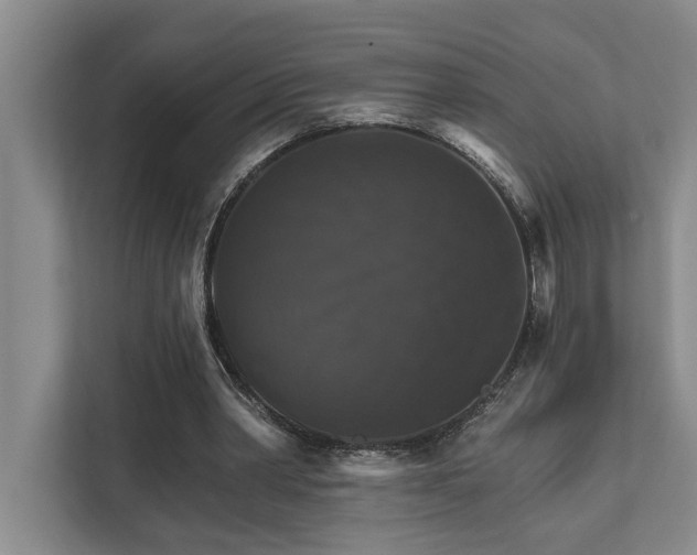 X0000111510390200907211208