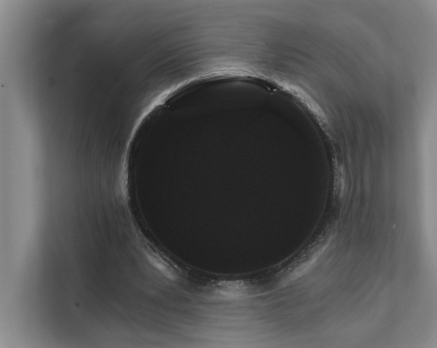 X0000111510391200907211208