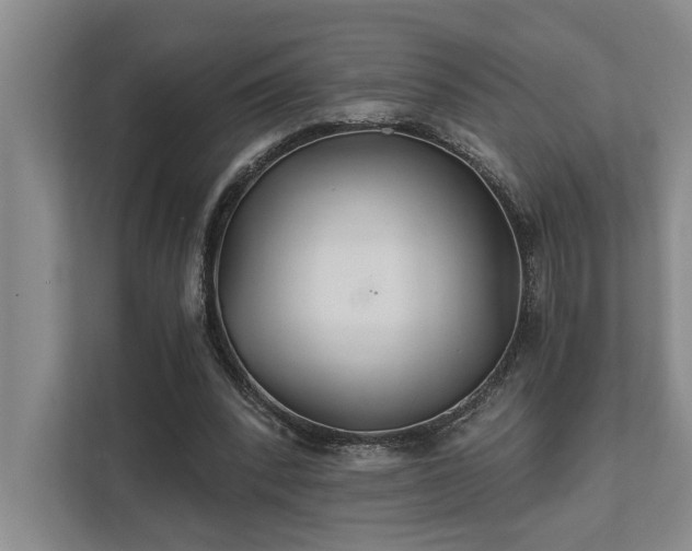 X0000111510392200907211208