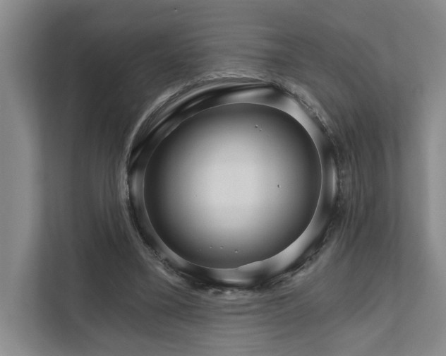 X0000111510395200907211208
