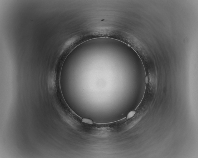 X0000111510396200907211208