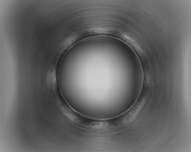 X0000111510398200907211208